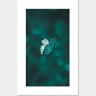 Blue and Black Butterfly Posters and Art